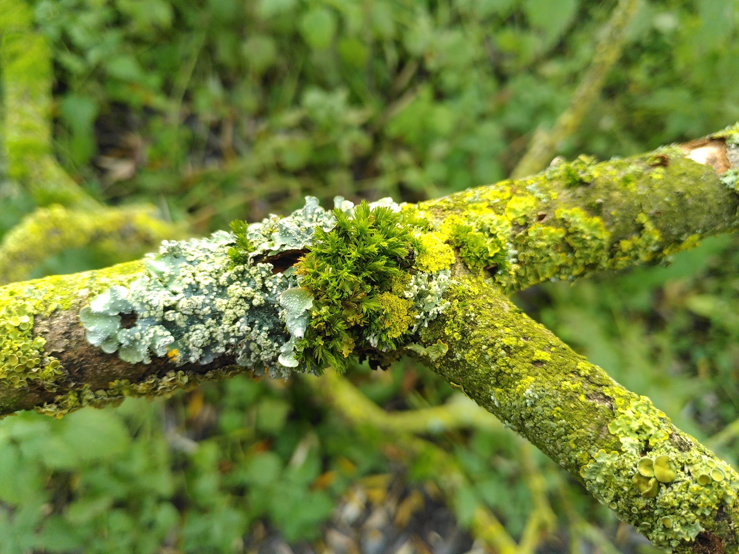 Definitie van succes Ga het aan